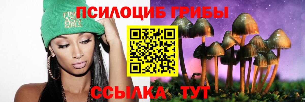 Галлюциногенные грибы Psilocybine cubensis Асбест